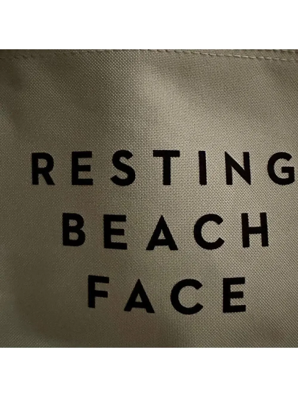 Milly light green canvas beach clutch bag travel ouch NWOT